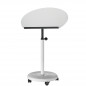 Preview: rs-06-32 officeplus fahrbares Stehpult steh-sitz-rolls Gestell weiß PultPlatte Melamin Lichtgrau Buero-Goertz